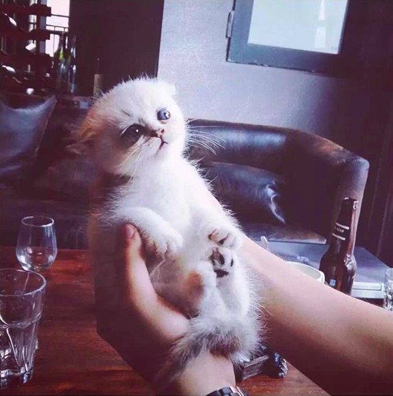 手机拍照赚钱方法大全,怎么利用手机赚钱