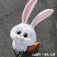 《哥哥太爱我了怎么办》？这种羞耻的剧也就岛国拍的出来！