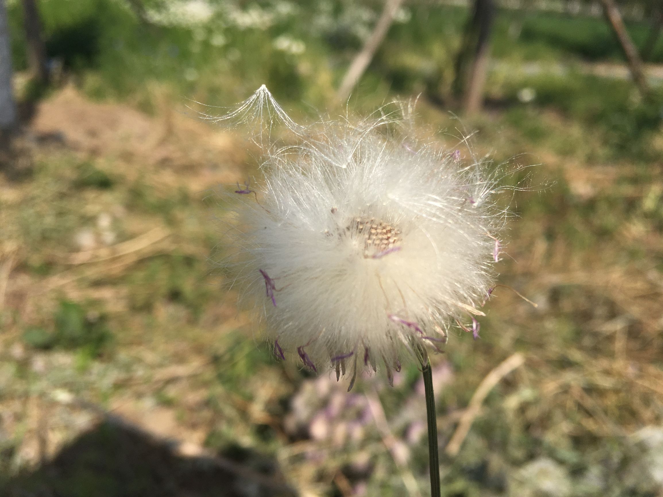 上庄水库常乐村,上庄水库好去处