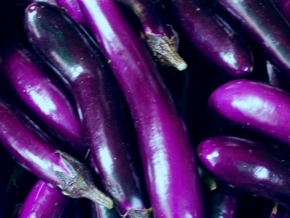 茄子可以放冰箱里面吗 (茄子可以放冰箱里吗)