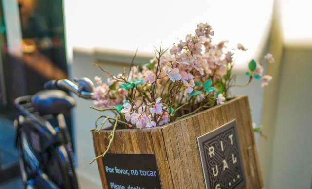 伊比利亚半岛的恋之歌(中)