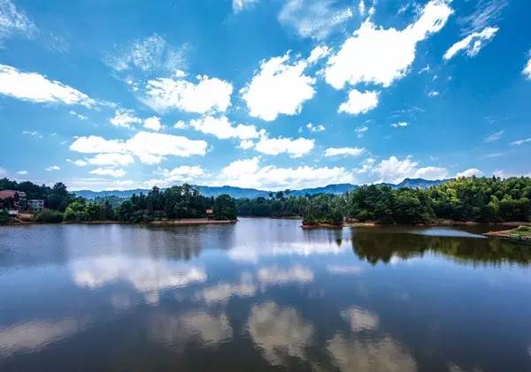 插秧端午节,包粽子赛龙舟端午节