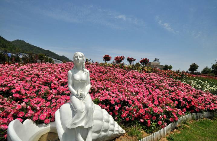 宁波十大休闲会所,宁波休闲农庄有哪些