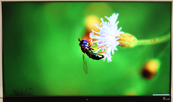 一台电视,一台电视一台投影