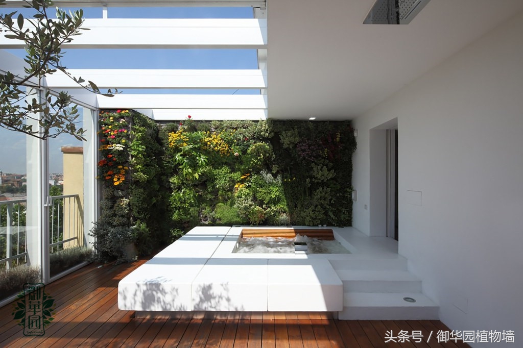 别墅植物墙设计费用,别墅大面积墙面设计