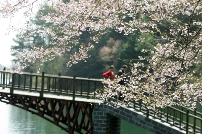 清凉寨里水云间，旅客都称桃花源