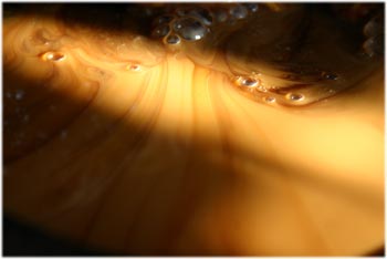 生漆有什么致癌成分吗,生漆的五大缺点