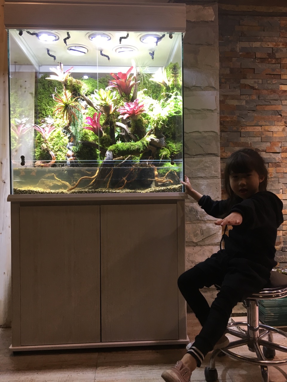 水族行业最新商业模式,水族店规划