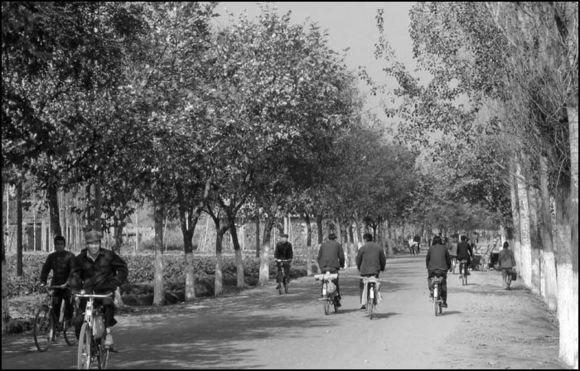 老照片80后的回忆再见青春