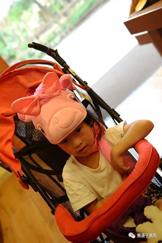 广州长隆野生动物园游玩攻略,广州长隆野生动物园攻略自由行