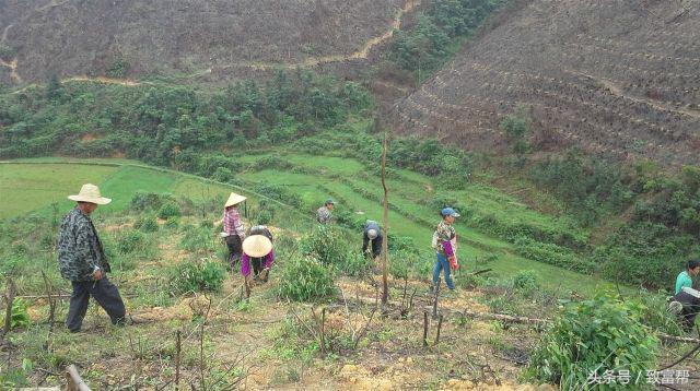 女人创业不如嫁个有钱老公,致富不忘百姓创业回报社会