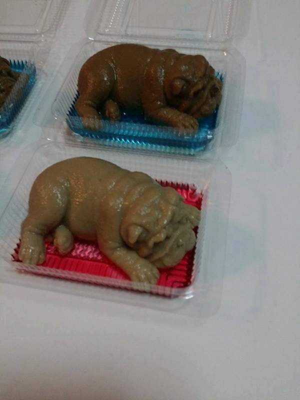 泰国沙皮狗,恐怖沙皮狗