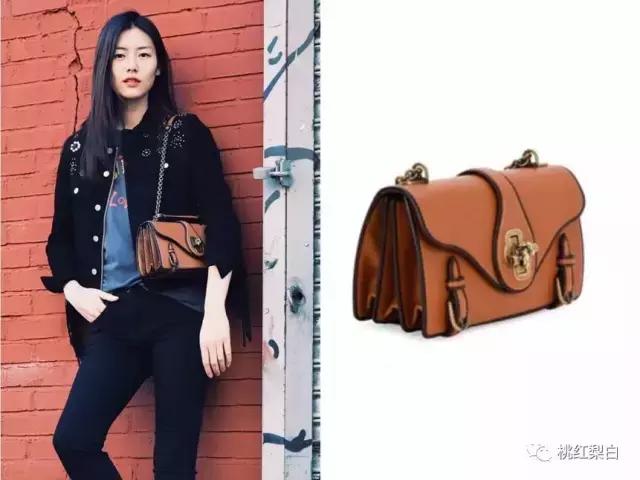 刘雯背的水桶包,刘雯旅行背的包