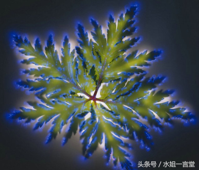 肉眼看到的和相机看到的区别,肉眼看到的和看不到的