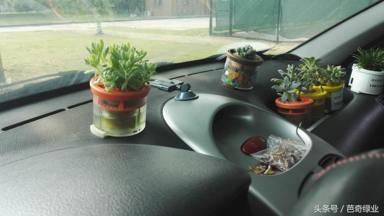 车载祝福饰品,鸾凤玉花语