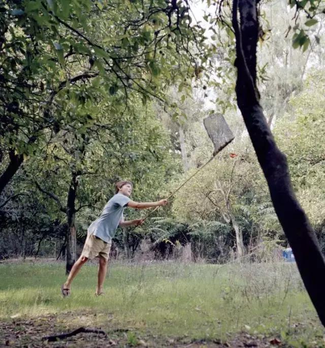 我的不靠谱家人，以及蛇、老鼠、蜥蜴、猫头鹰等其他动物