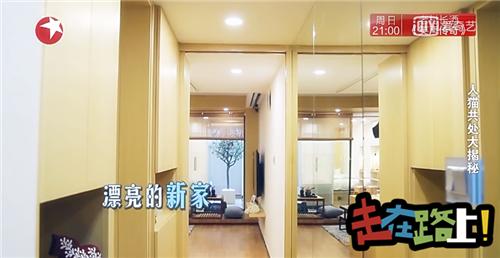 人猫共存空间设计,两只公猫两只母猫的房间怎么设计