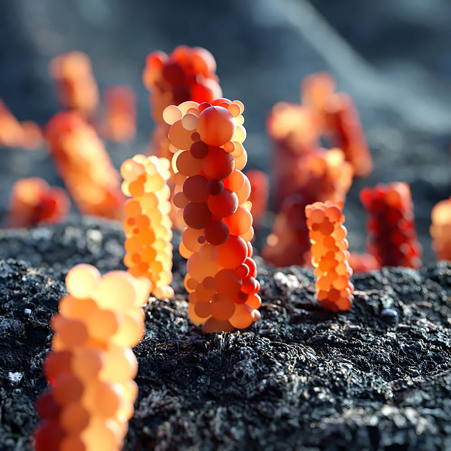 超牛数字艺术合成图强烈视觉效果的糖果异星球