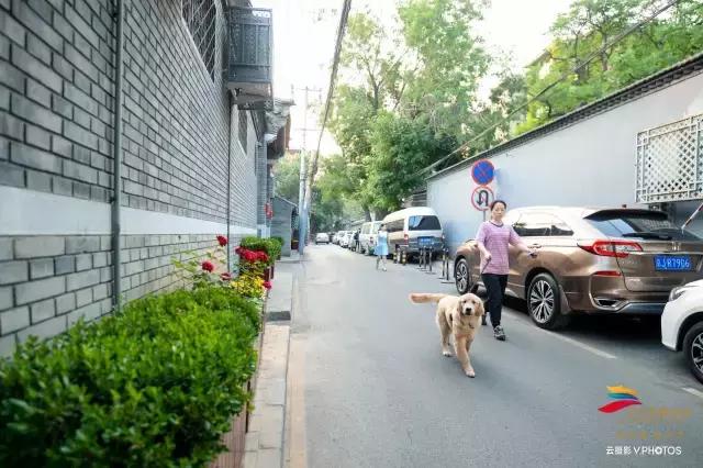 绝美的风景送给你,有一种风景叫朋友圈里的风景