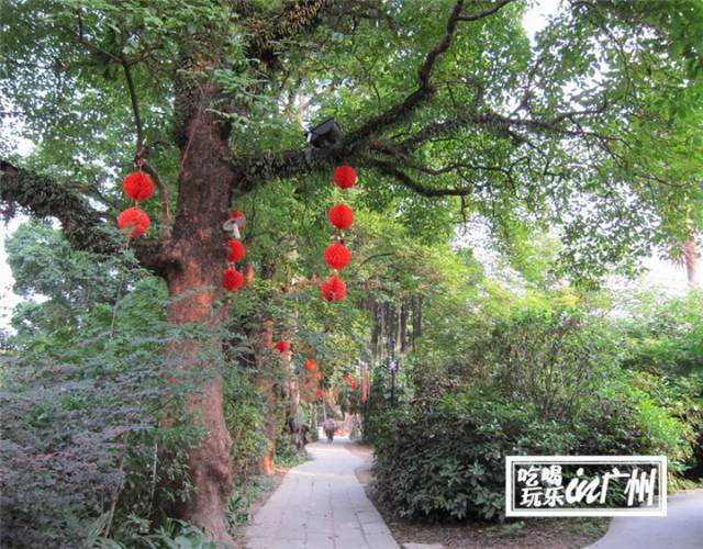 广州最新最美最好玩的景点,广州最值得去玩的景点推荐一下