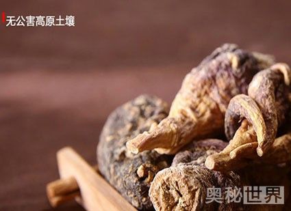 玛卡的功效与作用怎么吃,玛卡的作用与功效及食用方法