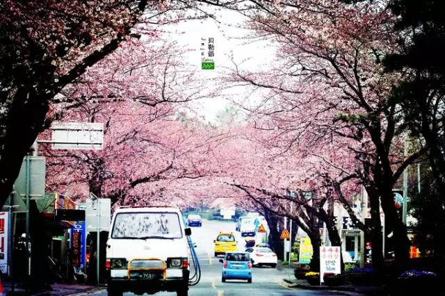 国外旅游吃喝城市推荐,境外旅游实惠