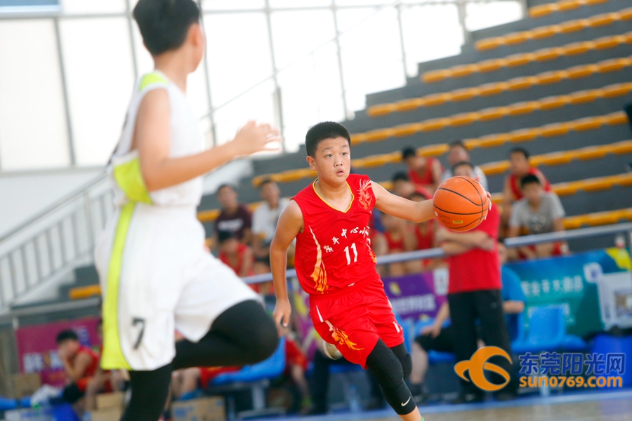 东莞市小学篮球赛2021,2020年东莞市小学篮球锦标赛