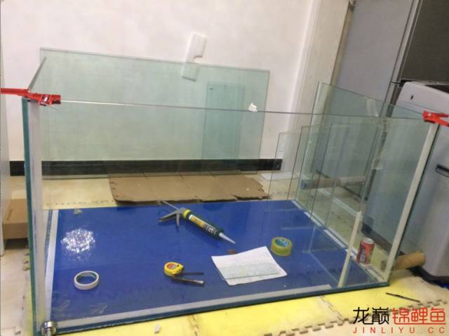 地缸推荐,家里可以搞个多大的地缸