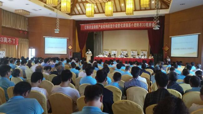 订单农业助推产业结构转型升级优质强筋小麦陕农33观摩会成功举办