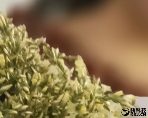 金立s10双摄像头手机,金立s10测评有什么特殊功能