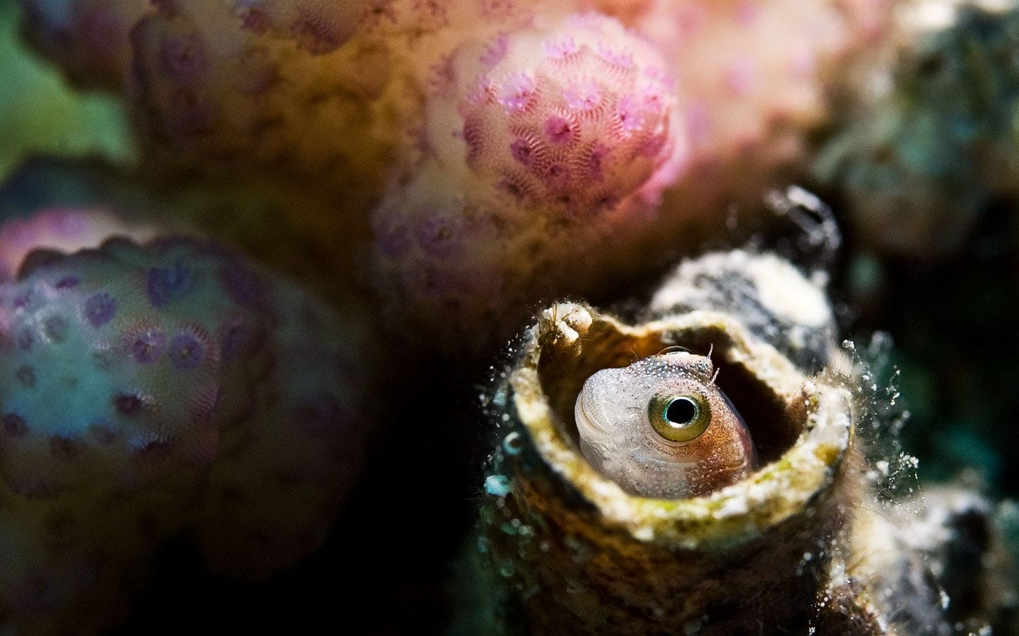 鎽勫奖鐪肩潧鑱氱劍,鐪肩潧鎷嶇殑鐓х墖鍜岀浉鏈烘媿鐓х殑鎰忎箟