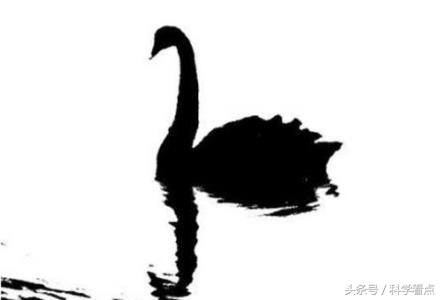 黑天鹅的书籍推荐,黑天鹅四本书