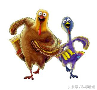 黑天鹅的书籍推荐,黑天鹅四本书