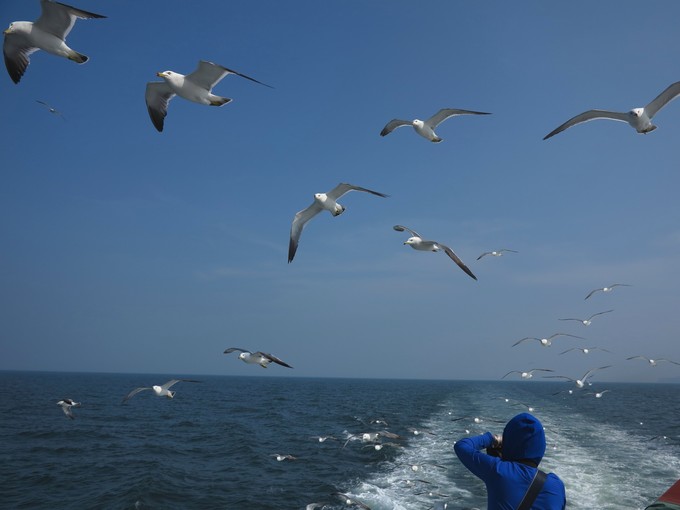 烟台蓬莱长岛两日游景色美极了,烟台长岛三日游攻略