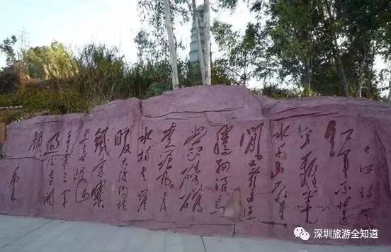 深圳求水山公园是怎样的,深圳求水山公园有什么好玩的景点