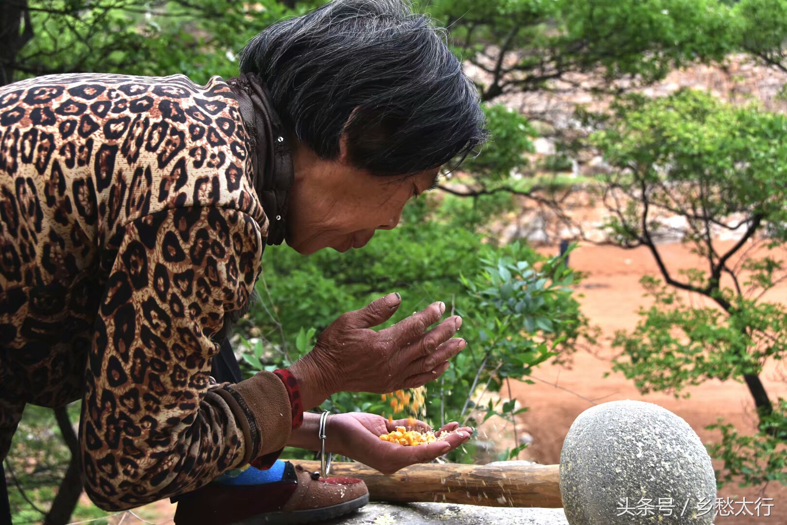 记在心底的玉黍米面条汤