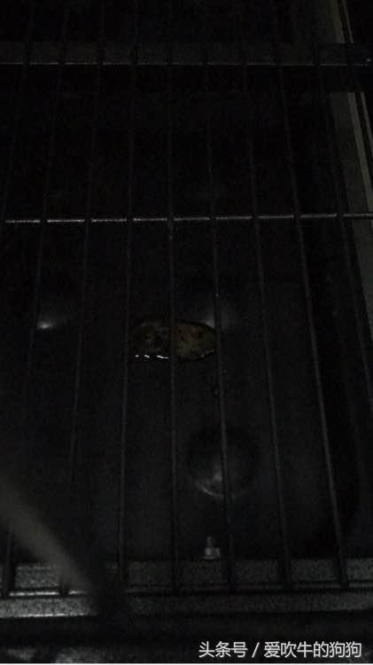 细小治愈全过程,细小治愈后的后遗症