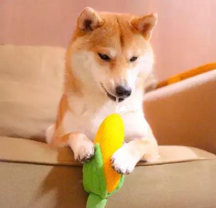 这就是别人家的员工餐视频,这就是别人家的爸爸原版视频