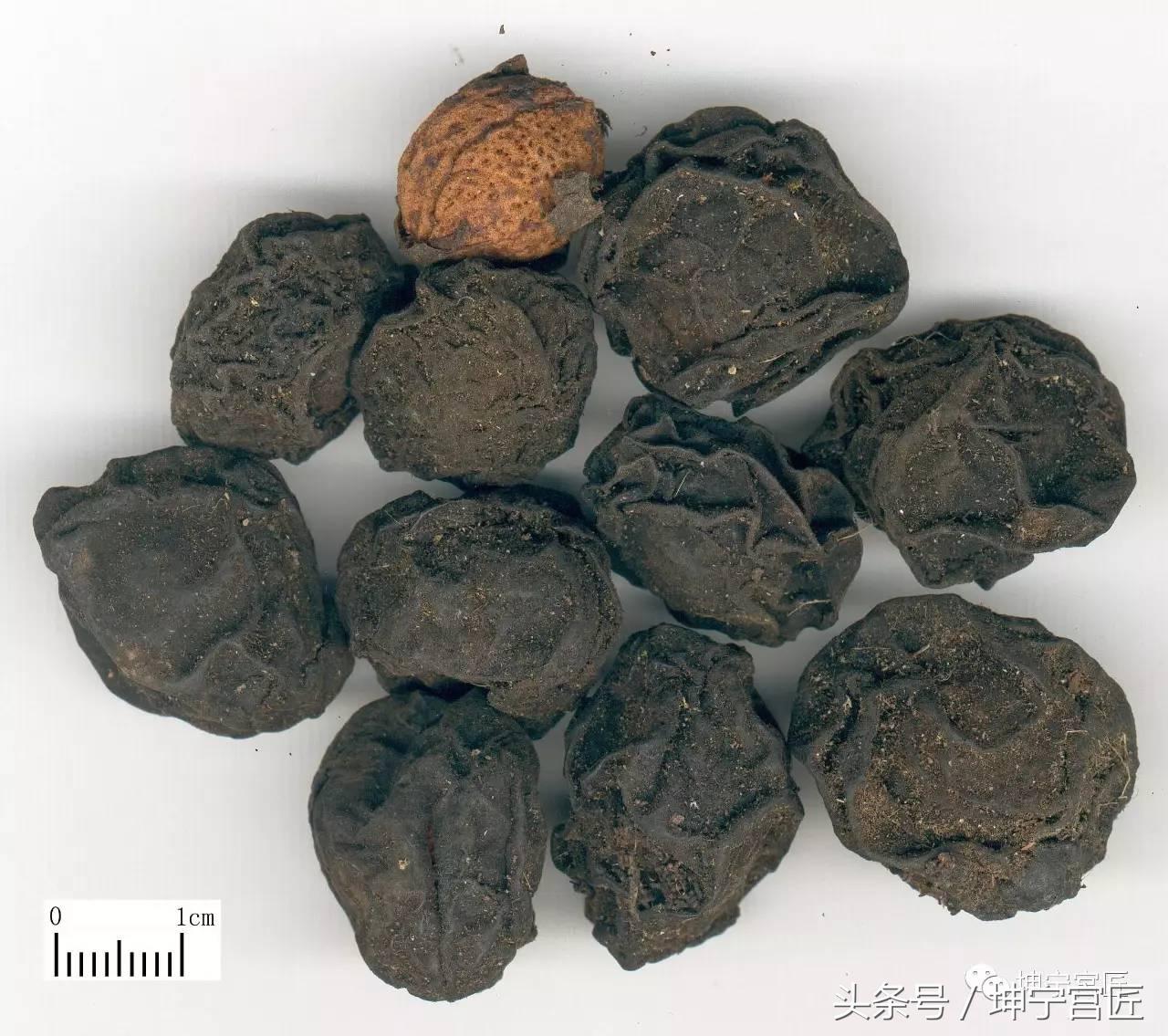 古代青铜器表面锈蚀的清理,青铜器锈蚀产物清理试验