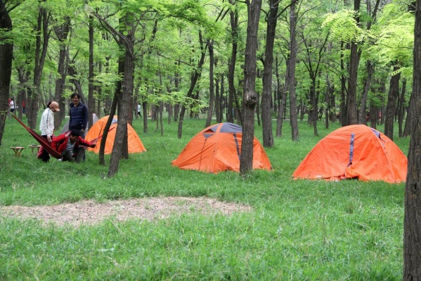 推荐北京周边十大适合露营之地,露营烧烤小孩玩耍地点推荐