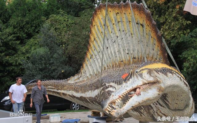 世界上最厉害的动物平头哥,平头哥盘点十大速度最快的动物