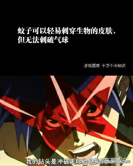 11条冷趣味的冷知识,史上最有意思的冷知识大全