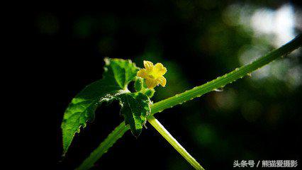 干货拍照小窍门,干货拍照技术