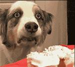 爱妖经｜亲子装，亲子包……现在连美甲都要同款了？