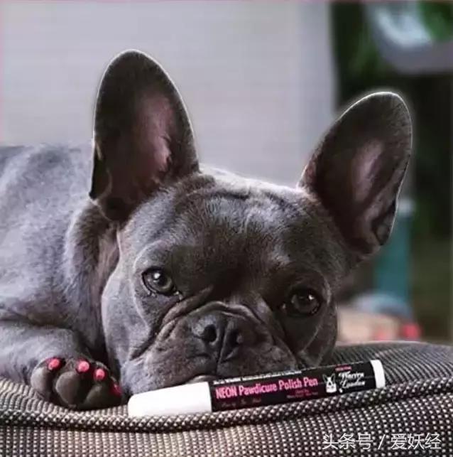 爱妖经｜亲子装，亲子包……现在连美甲都要同款了？