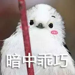 回国别高兴太早，过了三周让你回到现实