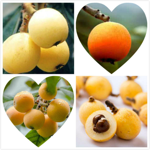 上海苏州自由行攻略,端午节去哪玩苏州上海