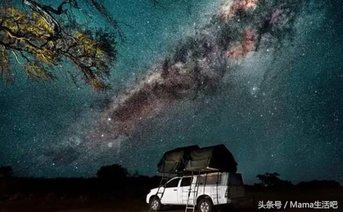 陈柏霖斑马外套同款,陈柏霖同款鞋子