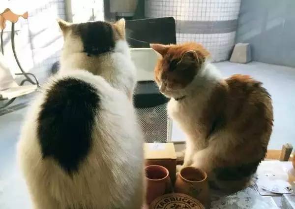 超好看的书店,魔都这十二家高颜值书店