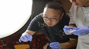 哈尔滨传统中式点心,最容易做的广式点心